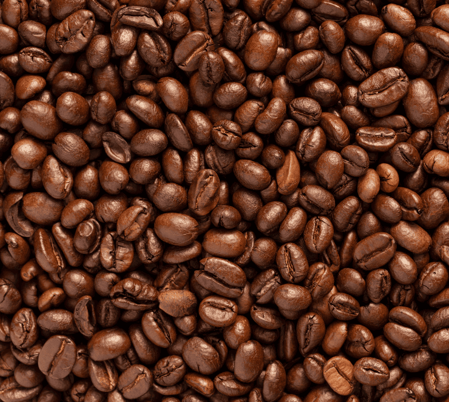 Close-up of roasted coffee beans